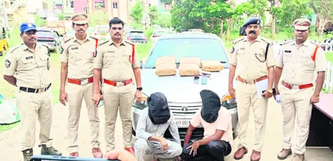 గంజాయి తరలిస్తున్న ఇద్దరు అరెస్ట్‌ 
