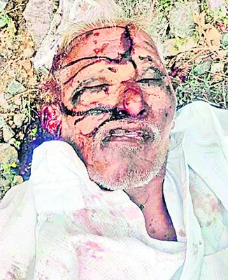 రైలు 