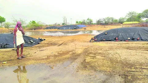 ఈదురుగాలుల బీభత్సం