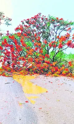 అభివృ