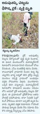 సీఎంఆ