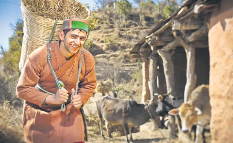 Sakshi Guest Column On Himachal model in organic farming