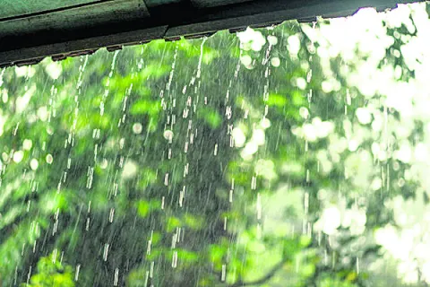 12 మండలాల్లో  అకాల వర్షాలు 