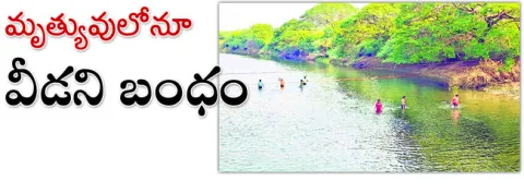 ● గల్