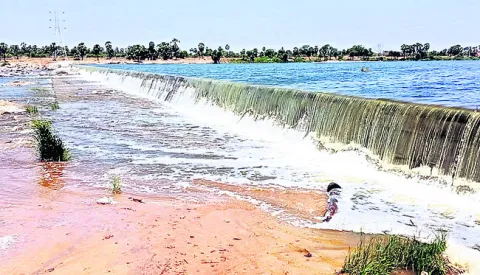 కరువు