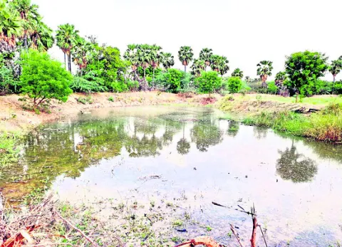 వాన నీటిని ఒడిసి పడుతున్న రైతు
