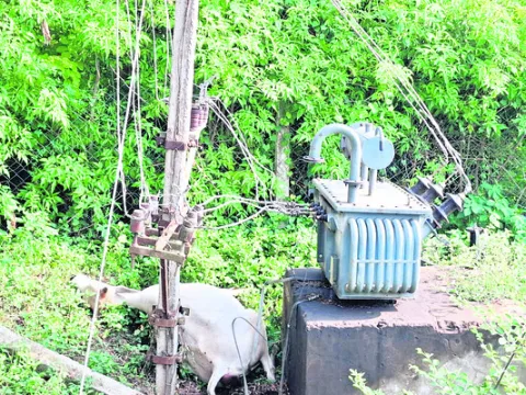 విద్య