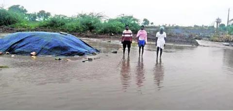 పిడుగ