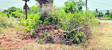 ప్రభుత్వ భూమి.. అడిగేదెవరు!