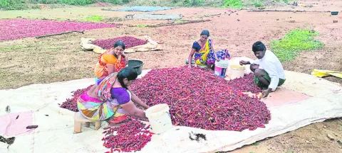 ప్చ్‌