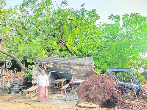 స్టాక