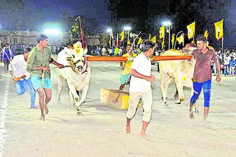 రసవత్తరంగా ఎడ్ల బండ లాగుడు పోటీలు