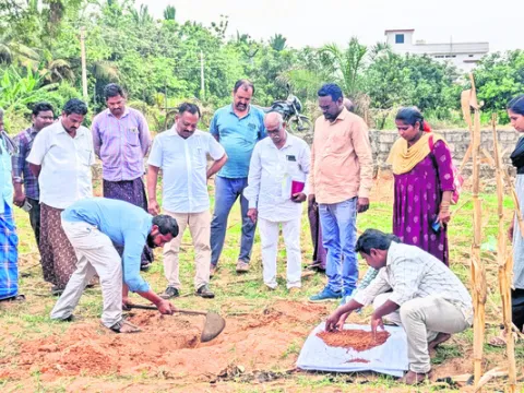 సారా 