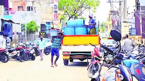 కోళ్ల వేస్టు.. కొల్లగొట్టు !