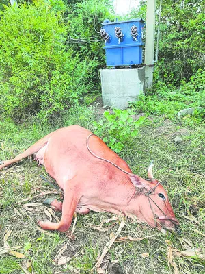 రోడ్డ