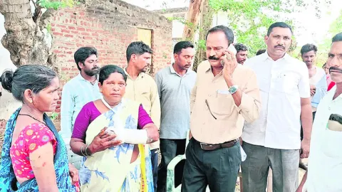 ఆటో బ