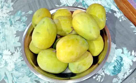 All About Cheruku Rasalu Mango