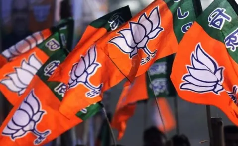 Telangana BJP president candidate  decision still in confusion