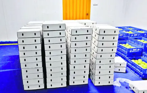 నాణ్య