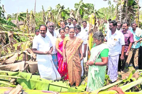 నాలుగు రోజులు వానలు