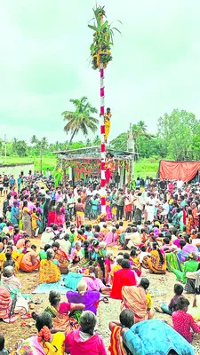 పుష్పపల్లకీలో ద్రౌపదమ్మ విహారం 