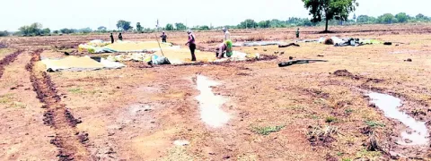 తడిసి