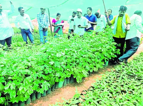 సరస్వతీ పుష్కరాలకు ప్రత్యేక బస్సులు  