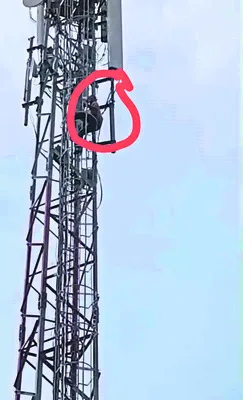 సెల్‌ టవర్‌ ఎక్కి హల్‌చల్‌