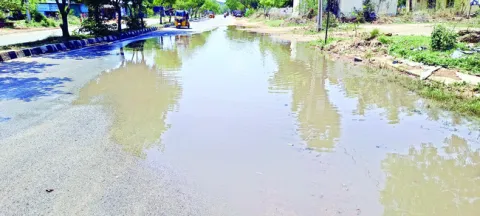 జిల్ల