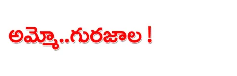 పల్నా