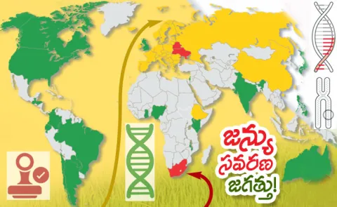 Global regulatory policies for Plant Breeding Details Sagubadi