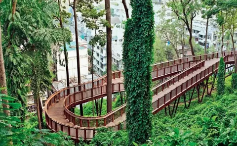 Mumbai first elevated forest walkway at Malabar Hill tourists rush 13