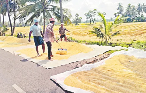 Farmers protest with grain tractors