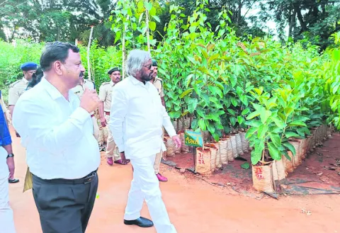 శ్రీగంధం చెట్లకు జియోటాగ్‌ 