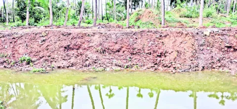 కాలువ గట్టు.. పూడిక తీసికట్టు 