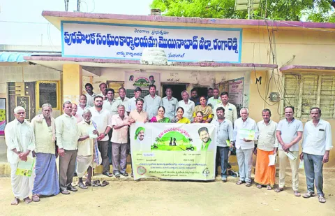సేంద్రియ సాగుతో అధిక లాభాలు 