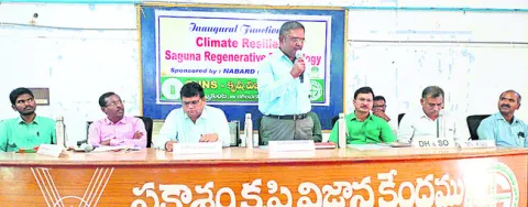 సాగుపై ప్రయోగాత్మకంగా పరిశీలన 
