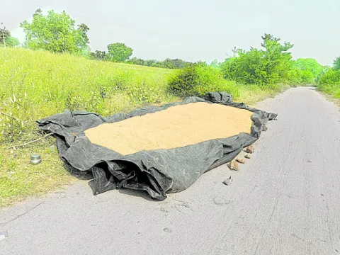 కల్లాల్లేక.. రోడ్లపైనే వడ్లు! 