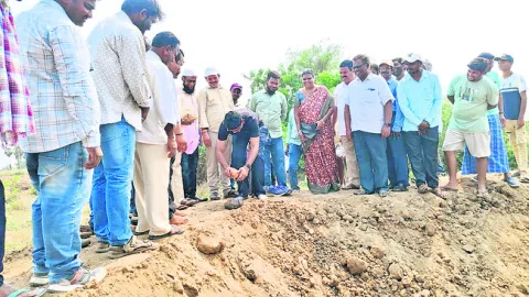 బొట్ట