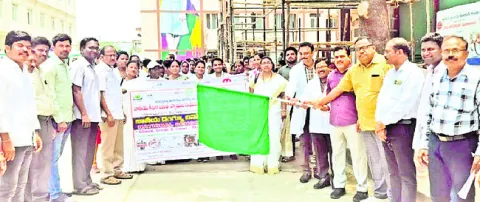 డెంగీ