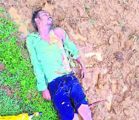 ఆటో బ