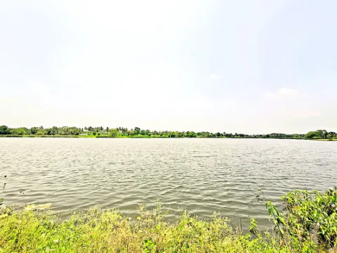 పలమనే