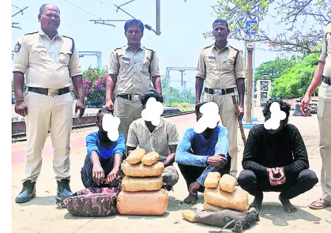 16 కేజీల గంజాయితో నలుగురి అరెస్ట్‌