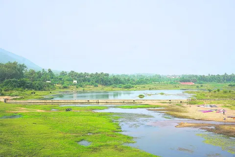  తారక