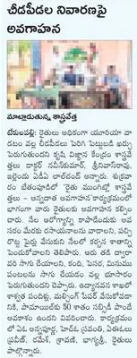 డెంగీ