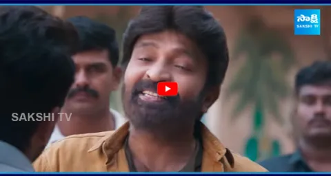 Tollywood Heroes Doing Cameos 4