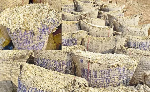  Farmers Protest At Grain purchasing Center: Telangana6