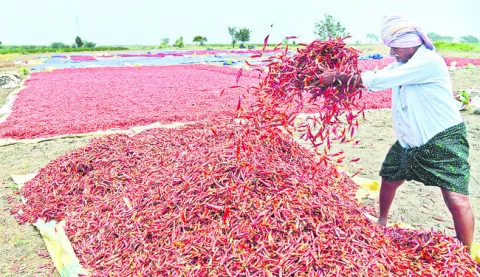 మిర్చ
