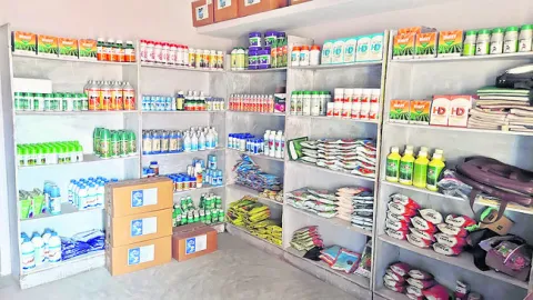 విత్త