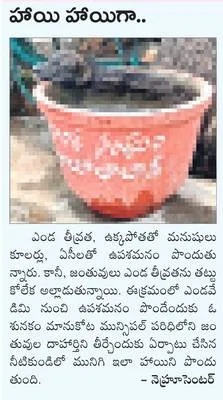 ధాన్య